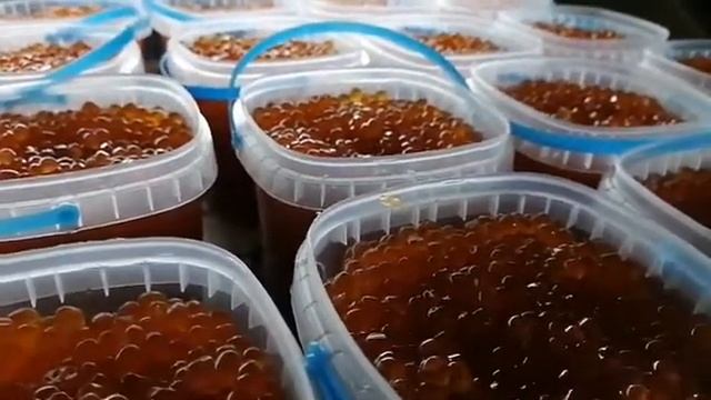 Икра Красная в Томске!Северске! ИКРА ЧАВЫЧИ! КАМЧАТКА!КРАБЫ!КРЕВЕТКИ!КЕТА, СЕМГА! РАКИ! ikra70.ru