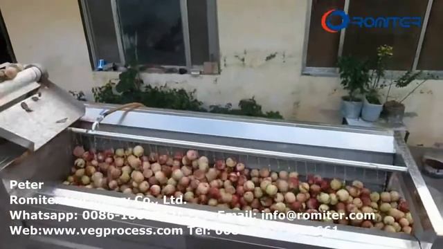 Автоматическая машина для мойки фруктов и овощей щеточного типа