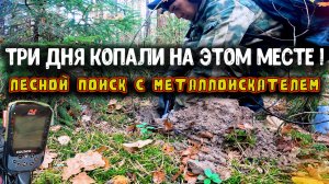 ЭТИ МЕСТА НУЖНО ВЫХАЖИВАТЬ ТЩАТЕЛЬНЕЕ! КОП МОНЕТ И СТАРИНЫ С МЕТАЛЛОИСКАТЕЛЕМ