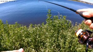 Street Fishing 20.06.21. Ловля на вертушки утром.