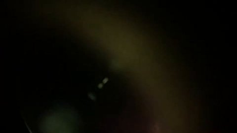 Вторая часть микроскоп арбуз и водрисли