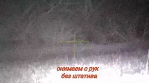 Маним шакала на голос раненого зайца. часть 1