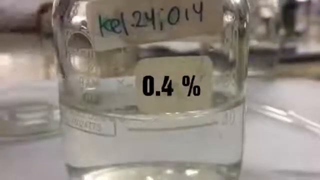 Reproduksi dan Laju Pertumbuhan Daphnia sp Kelompok 24 смотреть онлайн