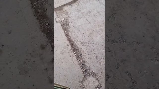 Первый запуск нового Тохатсу 18 л.с. перед Ангарой! Обкатка на холостых.