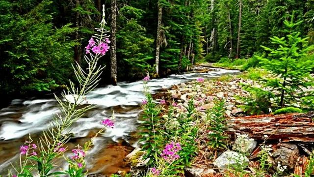 Музыкальный-клип. Я без Тебя не Могу. Наталья Сенчукова - Я по тебе скучаю