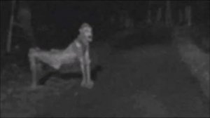 True Scary Stories - Skin Walker