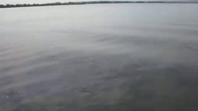 gary loomis 031 смотреть онлайн