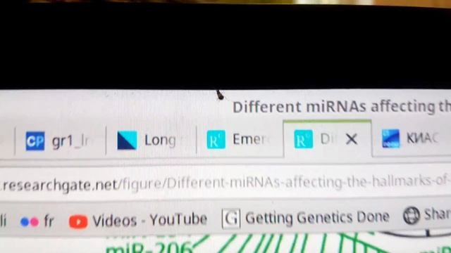 Таракан ползет по монитору %) смотреть онлайн
