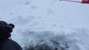 Ловля леща на мормышку на водохранилище.