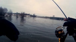 Окунь на каждом забросе + белая рыба / Мормышинг / Водосброс