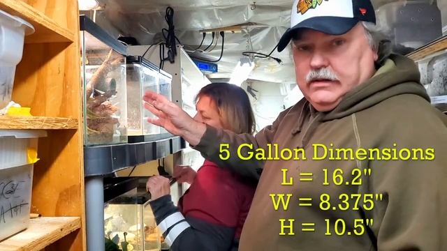 Planning a New Gecko Rack | Part 1 смотреть онлайн