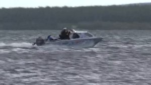беркут M НТ первый выход