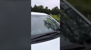 Видео обзор Хендай Солярис хетчбек 2015 г.в., мотор 1,6 литра на АКПП.