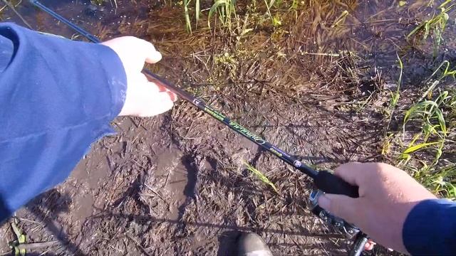 Моя рыбалка 50. Утро Яузское водохронилище. За лещем. смотреть онлайн