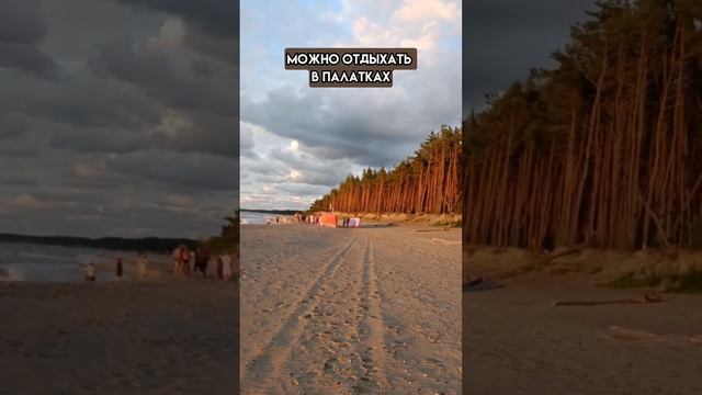 Все самые ценные вещи в мире - бесплатны #shorts