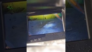 рыбалка Ижевск Воложка