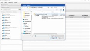 Программирование. Загрузка базовых комплексов. BIOMEDIS TRINITY.