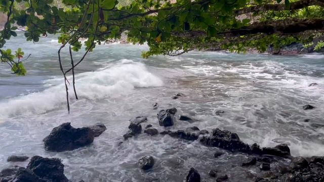 Hawaii Ocean Waves смотреть онлайн