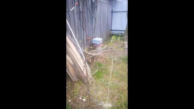 ....про РЫБАЛКУ... смотреть онлайн