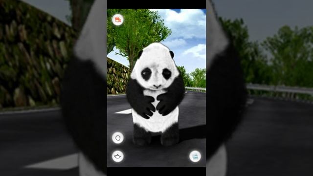 Crouching Panda or knowned as (Talking Barry The Panda) смотреть онлайн