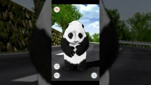 Crouching Panda or knowned as (Talking Barry The Panda)