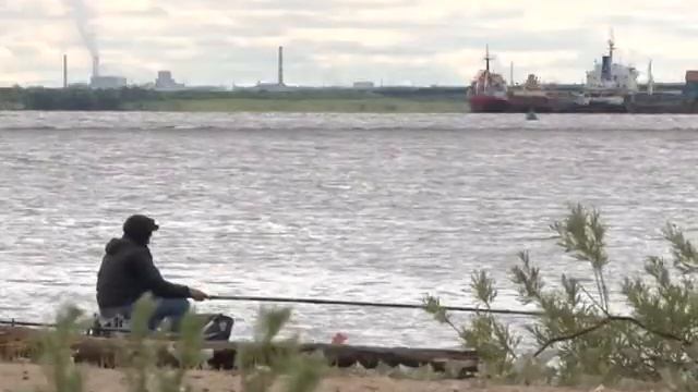 Чемпионат Архангельска по рыбловному спорту смотреть онлайн
