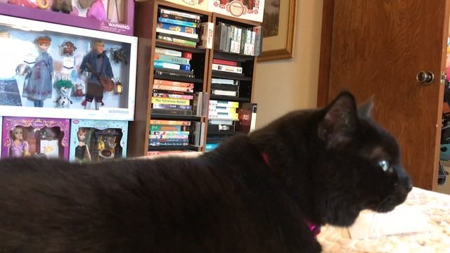 MoviePass Ticket Verification NOT WORKING on Android Devices смотреть онлайн