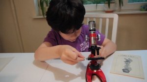 Обзор микроскопа "Analyt"