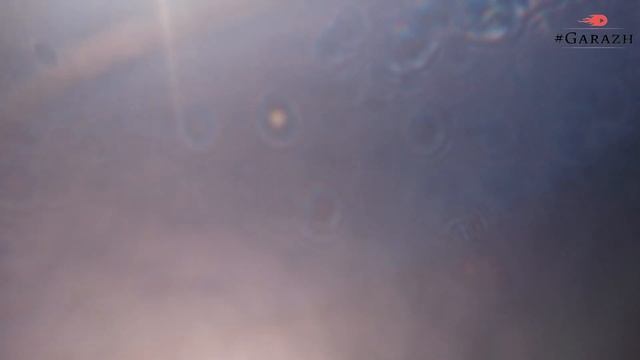 Расход бензина на Renault Duster смотреть онлайн