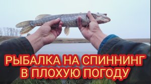 Рыбалка на спиннинг в плохую погоду.