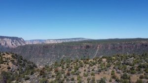 Northern Arizona Footage Coconino National Forrest