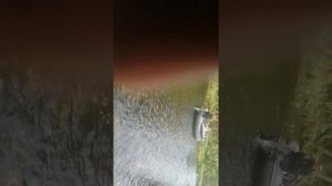 жаровские озера (исток)