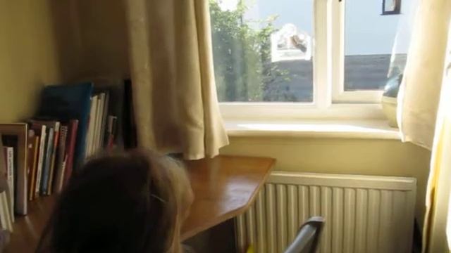 Where is mummy bird to feed the baby bird at window bird feeder? смотреть онлайн