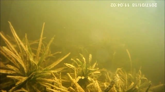 Октябрь, Беларусь черные камни. смотреть онлайн