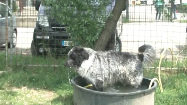 2015 05 08 Spike Thula смотреть онлайн