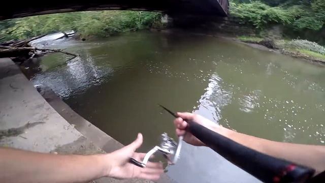 Catching Smalljaws смотреть онлайн