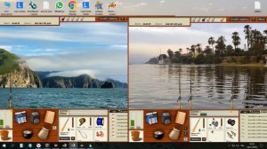 РР3 поймал канопу