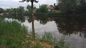 Кривой Рог Рыбалка на реке Саксагань