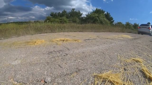 Rolton Experiments : Car vs Rolton , pasta смотреть онлайн