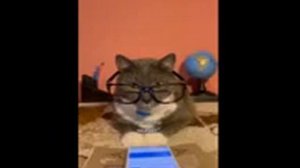 вырезанный фрагмент kotiynet (??.??.2023)