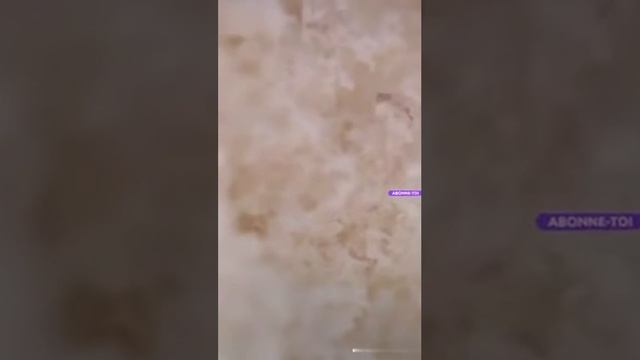 борошно під мікроскопом