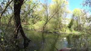 Разведка новых мест / Девица / Микроджиг