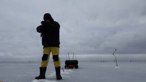 Сани Time Trial "ОкуньXL" в действии.