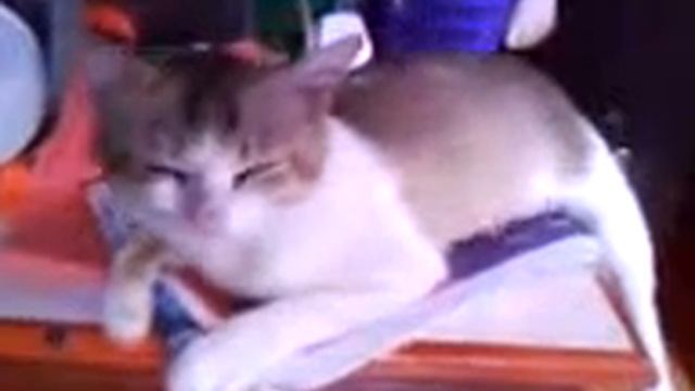 Alex's fav song смотреть онлайн