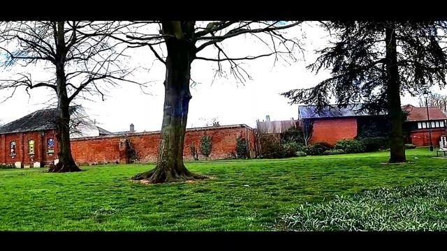 SIRUI  ANAMORPHIC LENS ON IPHONE 7 MOMENT CASE смотреть онлайн