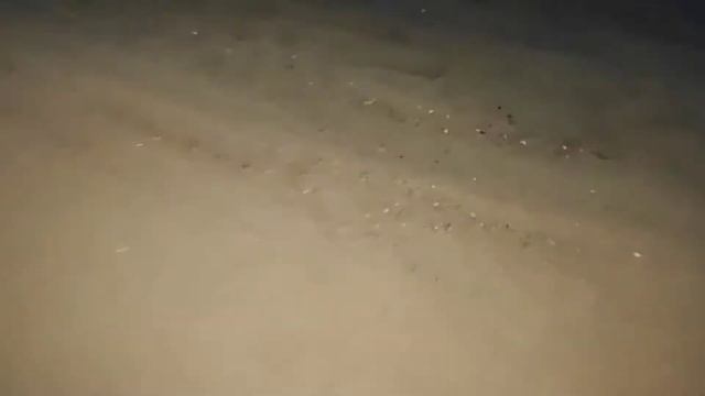 Последняя рыбка октября 2020 смотреть онлайн