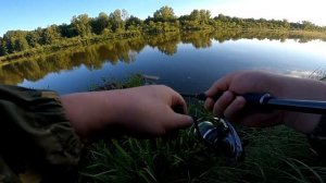 ЛОВЛЯ СУДАКА НА ДЖИГ В КОРЯГАХ