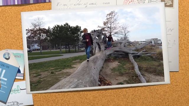 Trip to Plymouth, MA смотреть онлайн