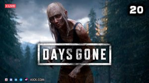 DAYS GONE ▶ ЖИЗНЬ ПОСЛЕ ● Прохождение #20