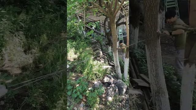 перетягивание каната. по вашему кто победит? смотреть онлайн